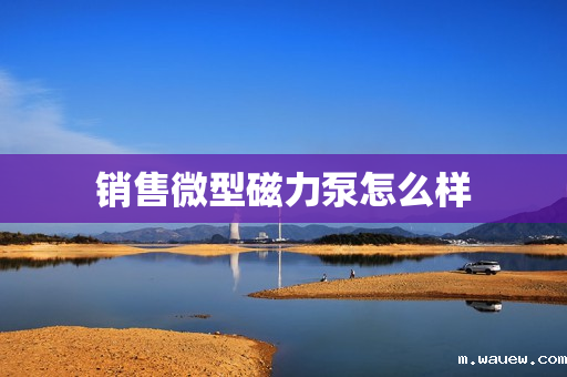 销售微型磁力泵怎么样 销售微型磁力泵怎么样