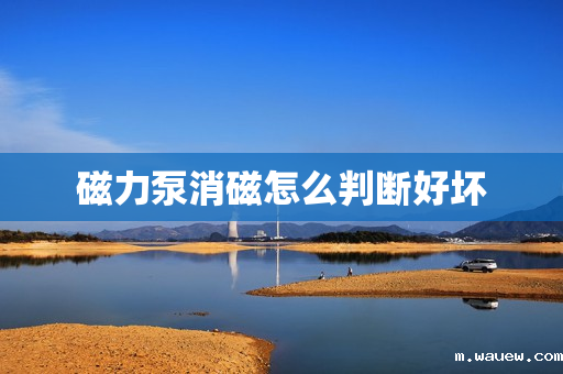 磁力泵消磁怎么判断好坏 磁力泵消磁怎么判断好坏