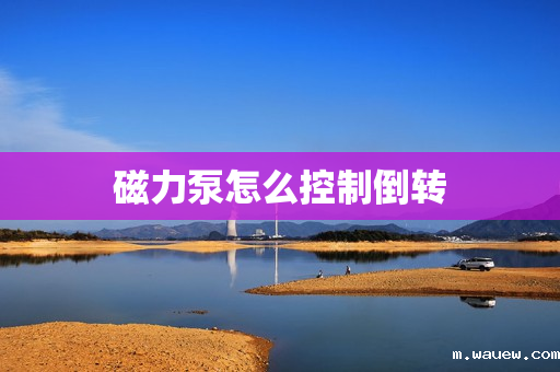 磁力泵怎么控制倒转 磁力泵怎么控制倒转