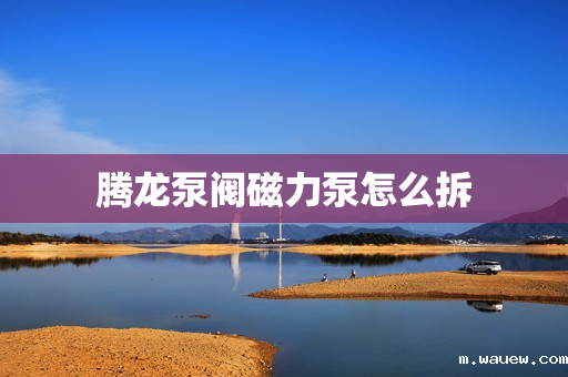 腾龙泵阀磁力泵怎么拆 腾龙泵阀磁力泵怎么拆