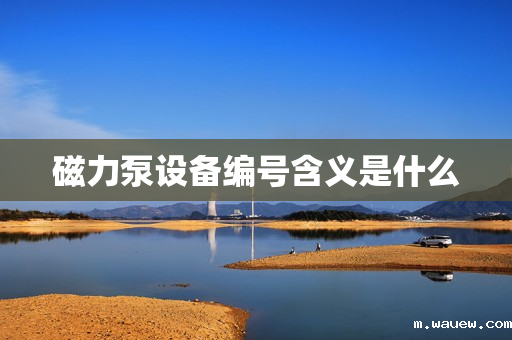 磁力泵设备编号含义是什么 磁力泵设备编号含义是什么