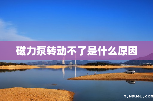 磁力泵转动不了是什么原因 磁力泵转动不了是什么原因