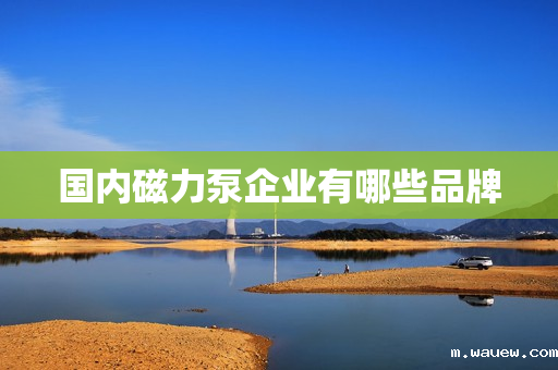 国内磁力泵企业有哪些品牌 国内磁力泵企业有哪些品牌