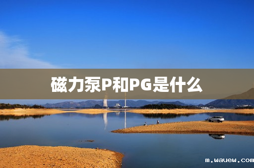 磁力泵P和PG是什么 磁力泵P和PG是什么