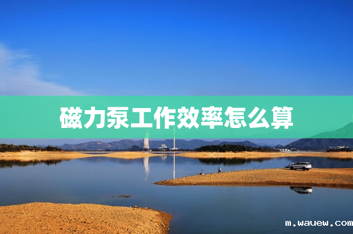 磁力泵工作效率怎么算 磁力泵工作效率怎么算