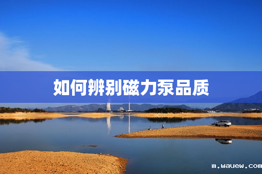 如何辨别磁力泵品质 如何辨别磁力泵品质