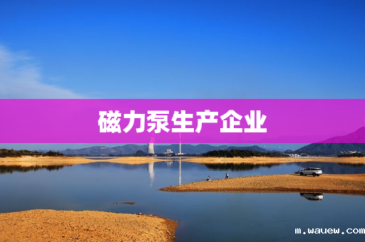 磁力泵生产企业 磁力泵生产企业