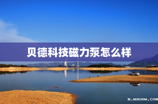 贝德科技磁力泵怎么样 贝德科技磁力泵怎么样