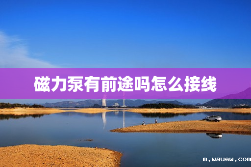 磁力泵有前途吗怎么接线 磁力泵有前途吗怎么接线