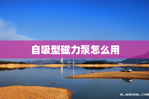 自吸型磁力泵怎么用 自吸型磁力泵怎么用