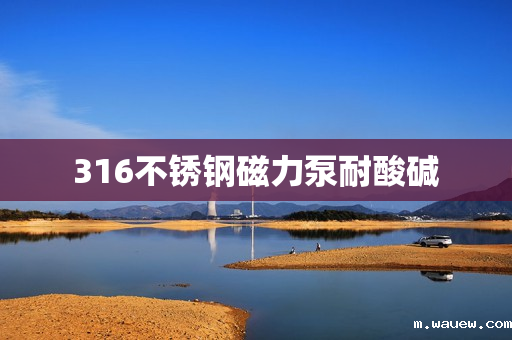 316不锈钢磁力泵耐酸碱 316不锈钢磁力泵耐酸碱