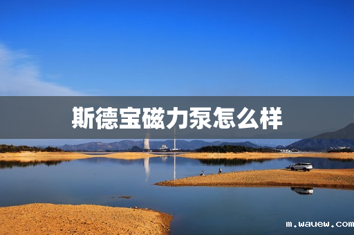 斯德宝磁力泵怎么样 斯德宝磁力泵怎么样