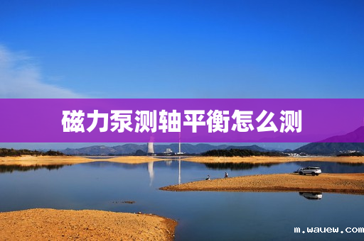 磁力泵测轴平衡怎么测 磁力泵测轴平衡怎么测