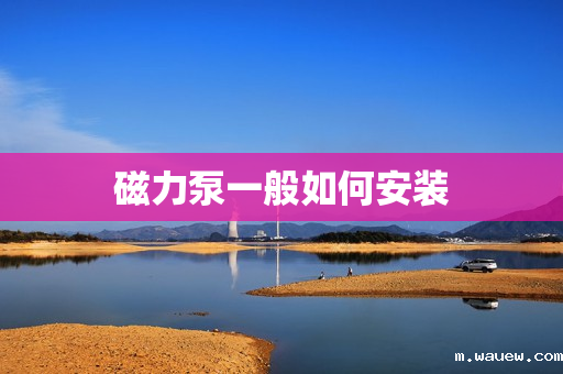 磁力泵一般如何安装 磁力泵一般如何安装