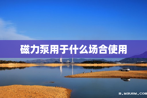 磁力泵用于什么场合使用 磁力泵用于什么场合使用