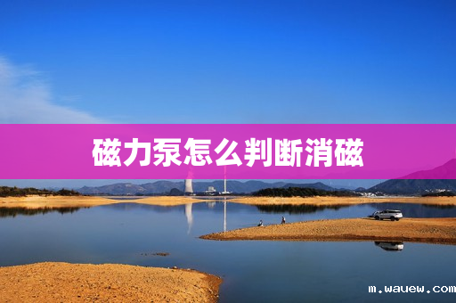 磁力泵怎么判断消磁 磁力泵怎么判断消磁