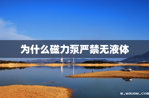 为什么磁力泵严禁无液体 为什么磁力泵严禁无液体