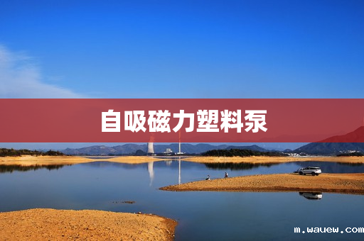 自吸磁力塑料泵 自吸磁力塑料泵