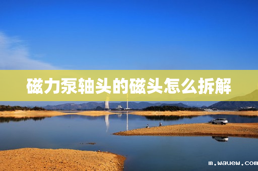 磁力泵轴头的磁头怎么拆解 磁力泵轴头的磁头怎么拆解