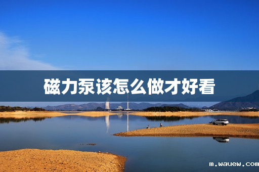 磁力泵该怎么做才好看 磁力泵该怎么做才好看