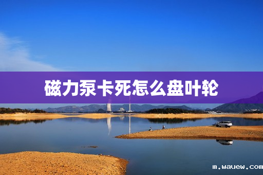 磁力泵卡死怎么盘叶轮 磁力泵卡死怎么盘叶轮