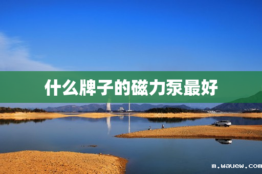 什么牌子的磁力泵最好 什么牌子的磁力泵最好