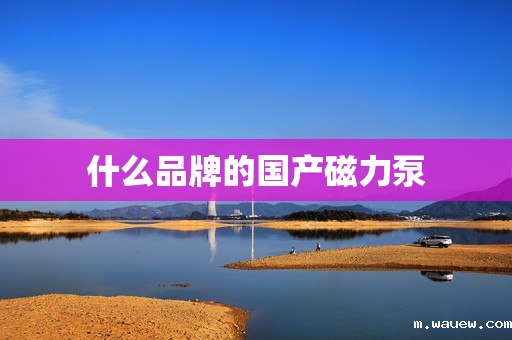 什么品牌的国产磁力泵 什么品牌的国产磁力泵