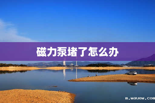 磁力泵堵了怎么办 磁力泵堵了怎么办