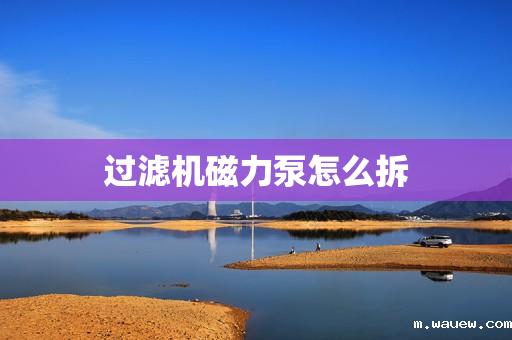 过滤机磁力泵怎么拆 过滤机磁力泵怎么拆