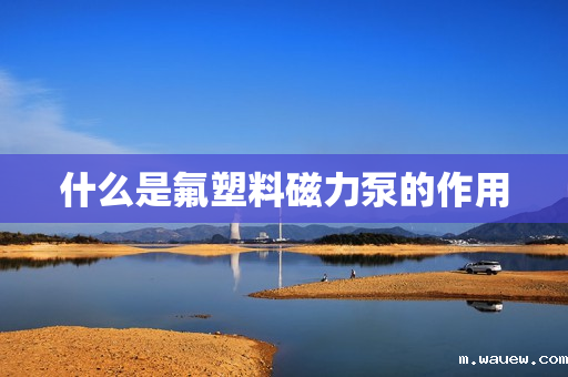 什么是氟塑料磁力泵的作用 什么是氟塑料磁力泵的作用