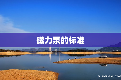 磁力泵的标准 磁力泵的标准