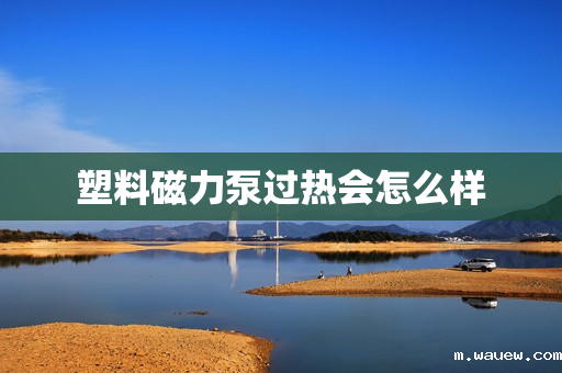 塑料磁力泵过热会怎么样 塑料磁力泵过热会怎么样