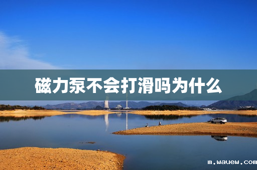 磁力泵不会打滑吗为什么 磁力泵不会打滑吗为什么