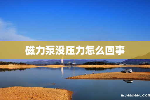 磁力泵没压力怎么回事 磁力泵没压力怎么回事