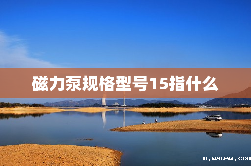 磁力泵规格型号15指什么 磁力泵规格型号15指什么