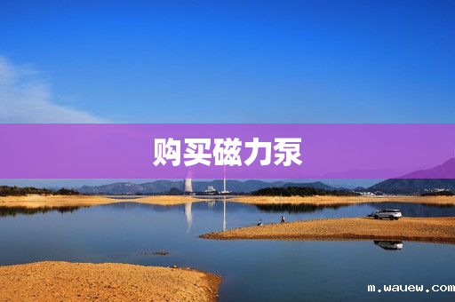 购买磁力泵 购买磁力泵