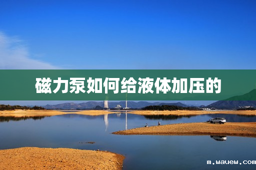 磁力泵如何给液体加压的 磁力泵如何给液体加压的