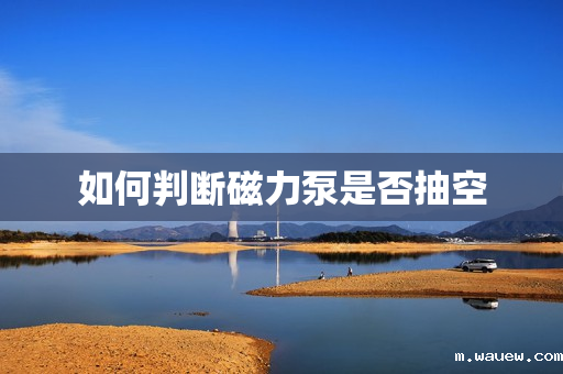 如何判断磁力泵是否抽空 如何判断磁力泵是否抽空