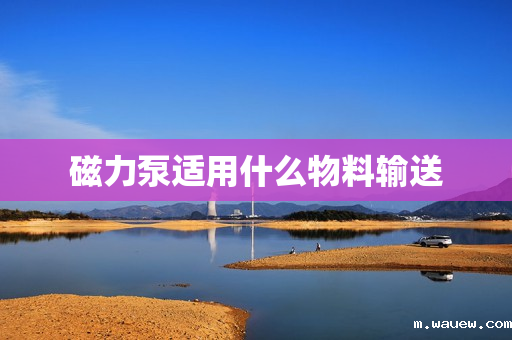 磁力泵适用什么物料输送 磁力泵适用什么物料输送