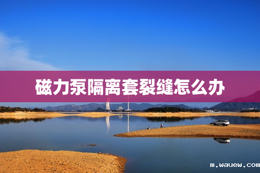 磁力泵隔离套裂缝怎么办 磁力泵隔离套裂缝怎么办