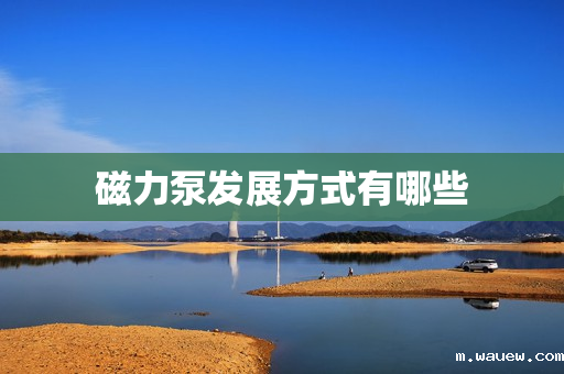 磁力泵发展方式有哪些 磁力泵发展方式有哪些