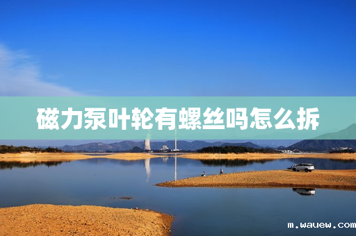 磁力泵叶轮有螺丝吗怎么拆 磁力泵叶轮有螺丝吗怎么拆