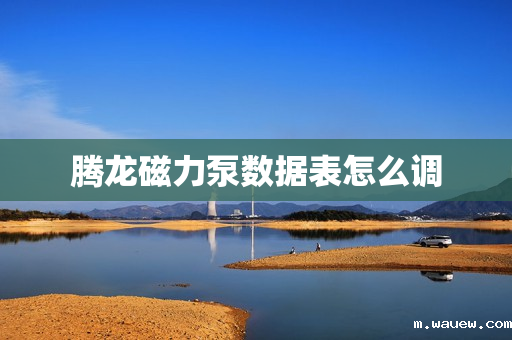 腾龙磁力泵数据表怎么调 腾龙磁力泵数据表怎么调