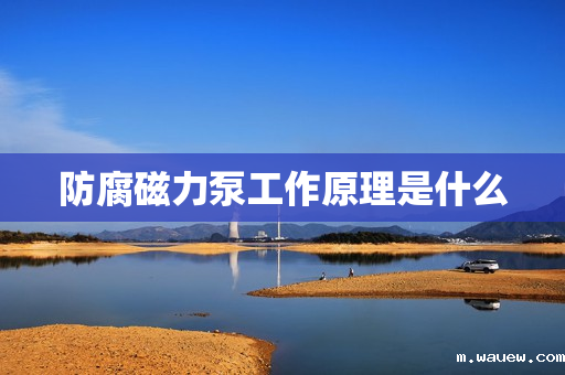 防腐磁力泵工作原理是什么 防腐磁力泵工作原理是什么