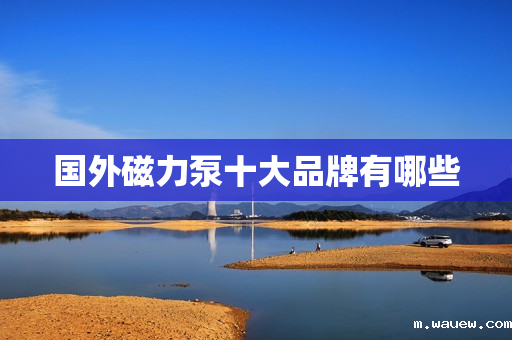 国外磁力泵十大品牌有哪些 国外磁力泵十大品牌有哪些