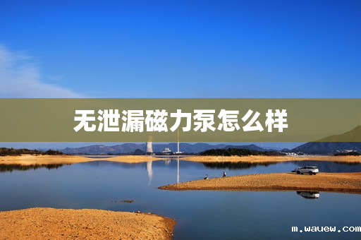 无泄漏磁力泵怎么样 无泄漏磁力泵怎么样