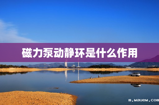 磁力泵动静环是什么作用 磁力泵动静环是什么作用