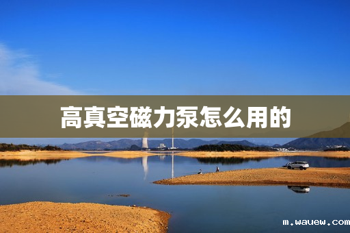 高真空磁力泵怎么用的 高真空磁力泵怎么用的