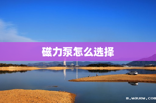 磁力泵怎么选择 磁力泵怎么选择