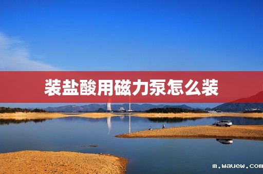 装盐酸用磁力泵怎么装 装盐酸用磁力泵怎么装